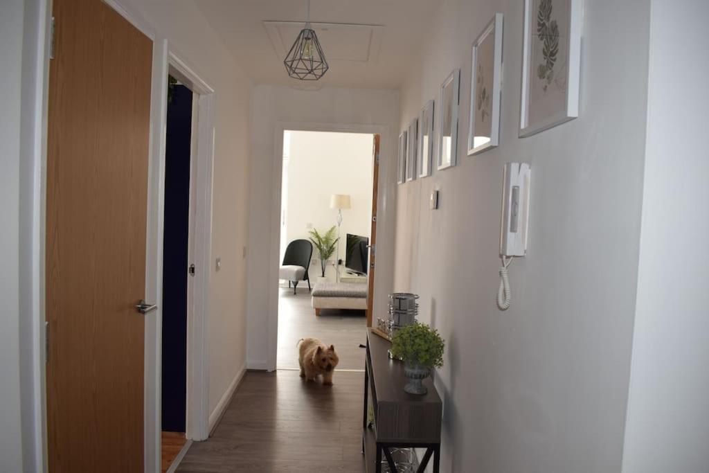Appartement The Paisley Penthouse - Abbey View Extérieur photo